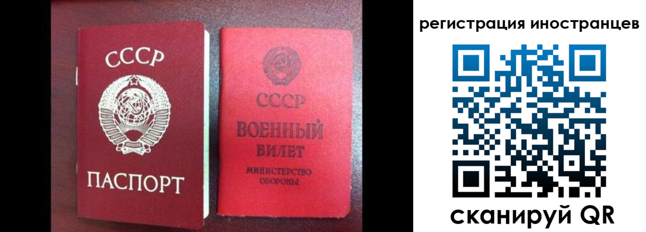 временная регистрация для всех в Муравленко